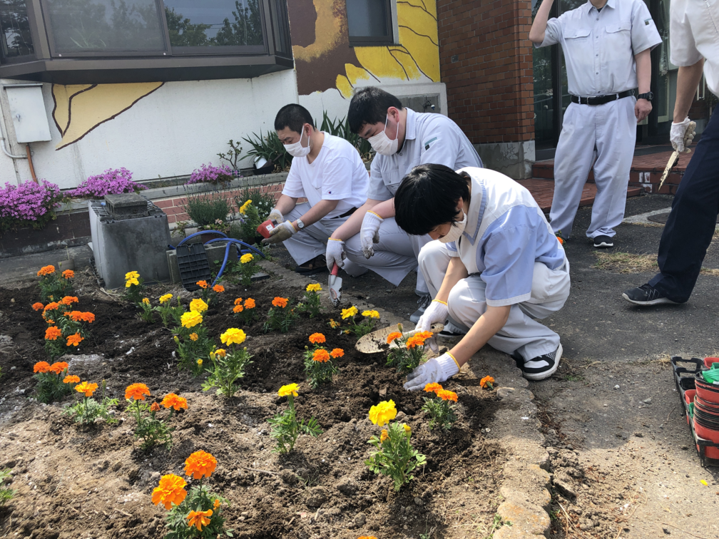 花壇の手入れ